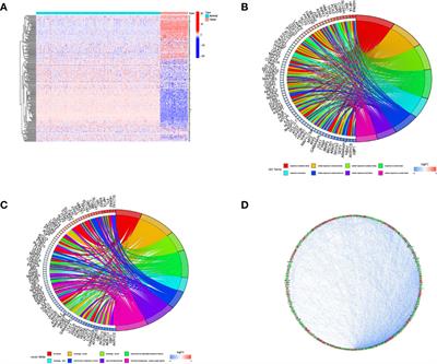 Comprehensive Analysis of a Ferroptosis-Related lncRNA Signature for Predicting Prognosis and Immune Landscape in Osteosarcoma